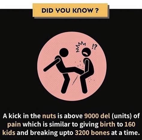 nut porn